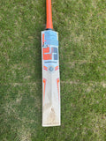 SS Players 4000 English Willow Cricket Bat