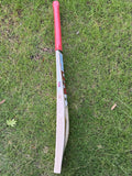 TON GOLD Willow Cricket Bat - 2025