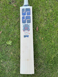 SS Devil Blue English Willow Cricket Bat - 2025