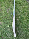 SS Devil Blue English Willow Cricket Bat - 2025