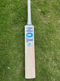 TON PLAYER EDITION Willow Cricket Bat - 2025