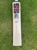 SS Devil RED English Willow Cricket Bat - 2025