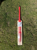 Gray-Nicolls GN 3.5 ASTRO Cricket Bat English Willow Cricket Bat - 2025