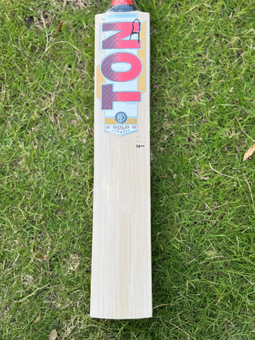 TON GOLD Willow Cricket Bat - 2025