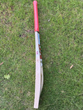 TON GOLD Willow Cricket Bat - 2025
