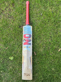 TON GOLD Willow Cricket Bat - 2025