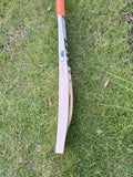 TON THALA English Willow Cricket Bat - 2025