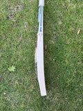 SS Devil Green English Willow Cricket Bat - 2025