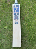 SS Devil Blue English Willow Cricket Bat - 2025