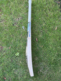 SS Devil Blue English Willow Cricket Bat - 2025