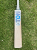 TON PLAYER EDITION Willow Cricket Bat - 2025