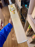 SG Sunny Gold English Willow Cricket Bat - 2025