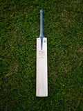 TON Special edition Willow Cricket Bat - 2025