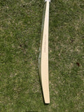 SG Sunny Gold icon English Willow Cricket Bat - 2025