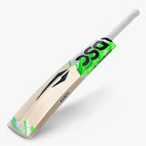 DSC SPLIIT 100 English Willow Bat